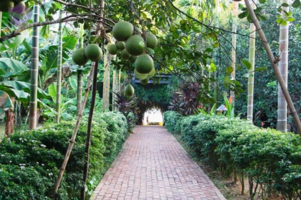 Thuy Bieu village